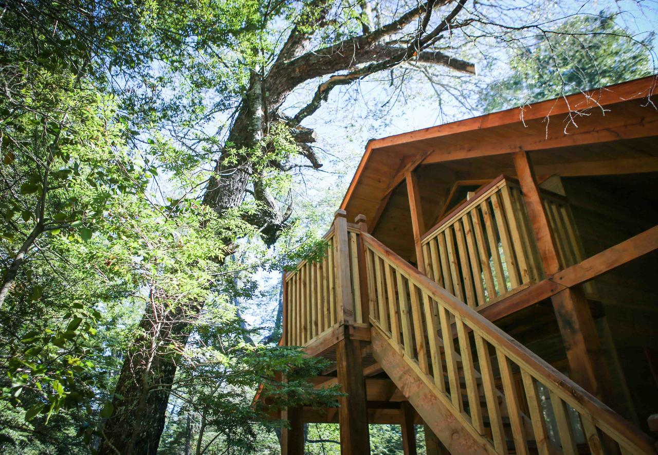 Llaima Camp Villa Curacautín Eksteriør billede