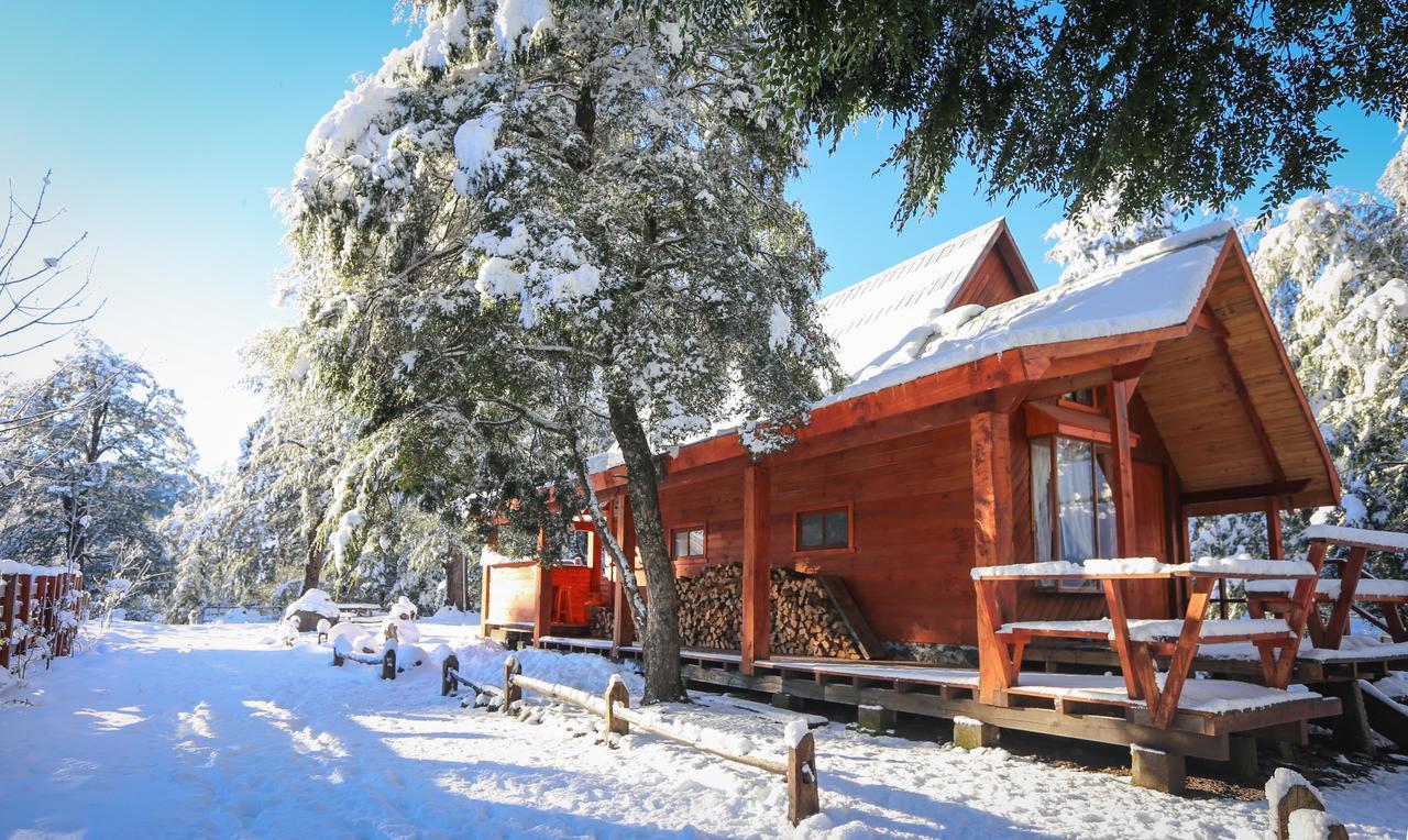 Llaima Camp Villa Curacautín Eksteriør billede