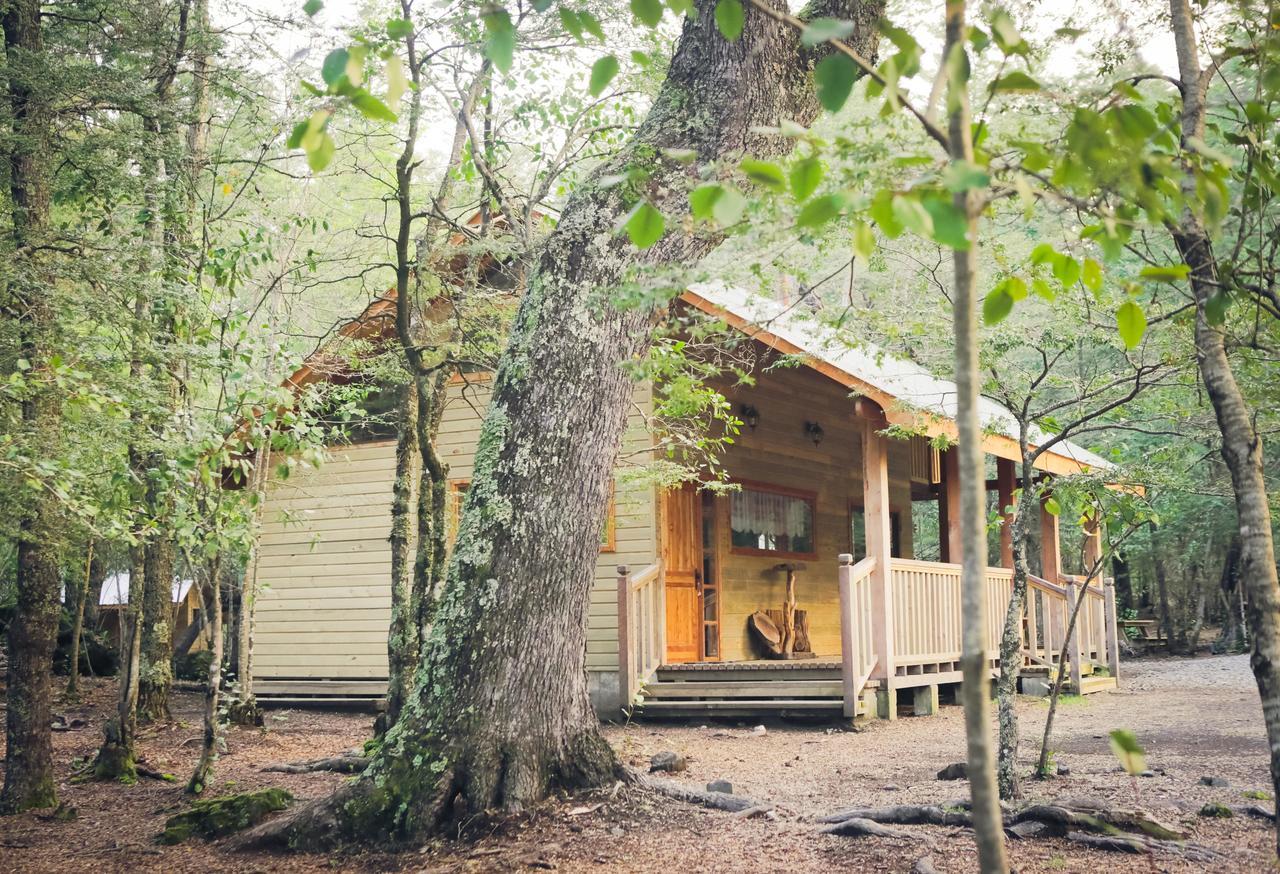 Llaima Camp Villa Curacautín Eksteriør billede